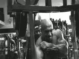 Dennis james