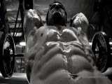 Greg Plitt Arm Workout