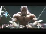 HARDCORE TRAINING
