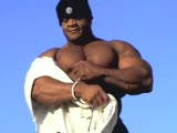 BIG GIG BIG MUSCLE