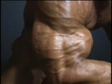 Armon Adibi - Very Vascular