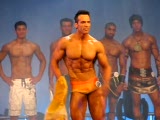 Helmut Strebl(2)