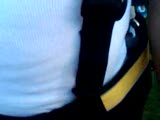 Craig Reynolds Dances