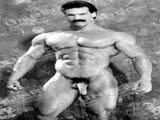 Carlbrute