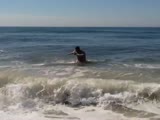 Rafael Leonidas: Shark Attack