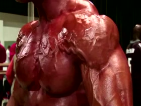 HD Pro Muscle