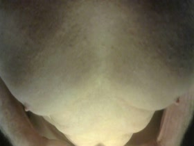 Thumb 14