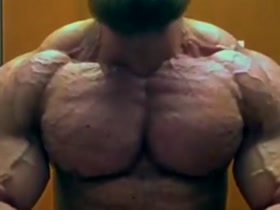 3 Short Massive Bodybuilders