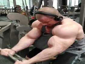 Arms a Massive