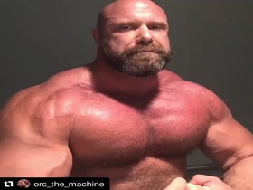 Gigant Bear