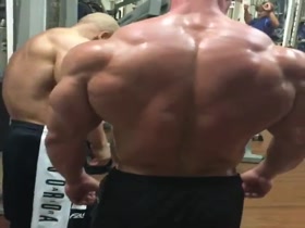 Arms a Massive