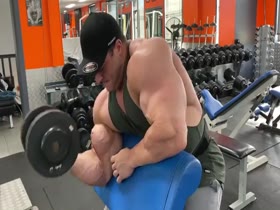 The Gyms