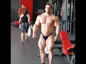 The Gyms