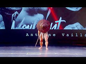 Vaillant Gladiator